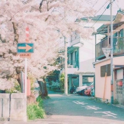 我能抗住最毒的打